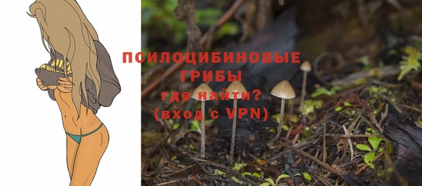 дурь Волоколамск