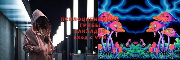 дурь Волоколамск