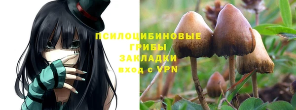 сатива Володарск