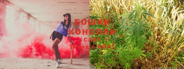 сатива Володарск