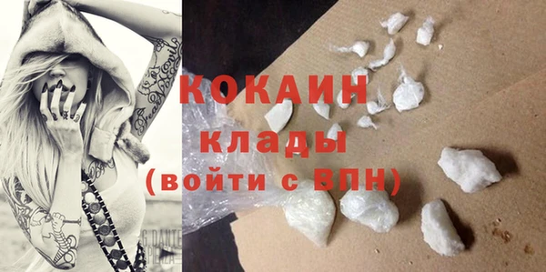 сатива Володарск