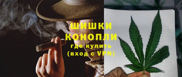 сатива Володарск