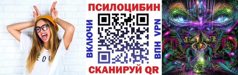 блэк спрут зеркало  Волоколамск  Псилоцибиновые грибы ЛСД 